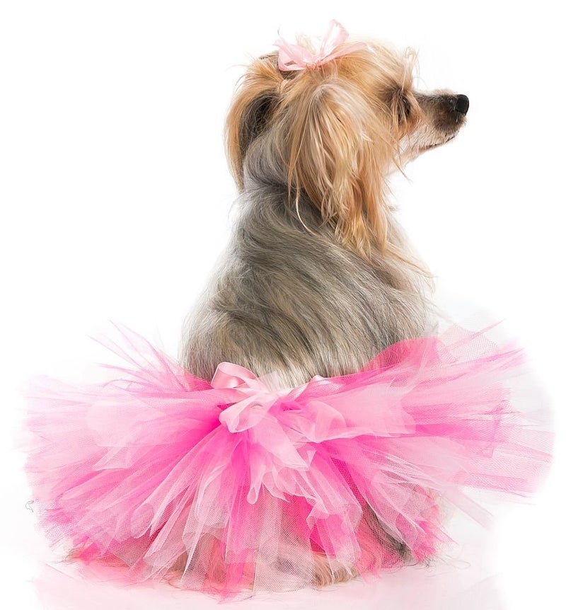 Pawpatu Hand Crafted in USA Pink/Hot Pink Mesh Ballerina Tutu Skirt for Dogs and Cats - Image 3
